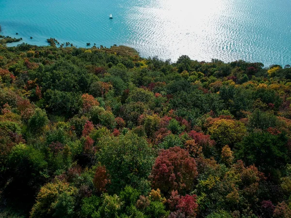 Färgglada träd vid Balatonsjön, Ungern på hösten — Stockfoto