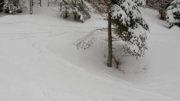 斯洛伐克 Chopok 山脉的冬天 — 图库视频影像