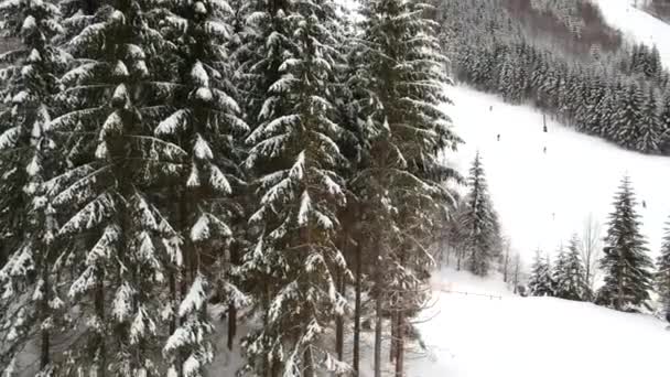 Zimą Góry Chopok Słowacji — Wideo stockowe