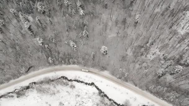 Вид с воздуха на снежные деревья — стоковое видео