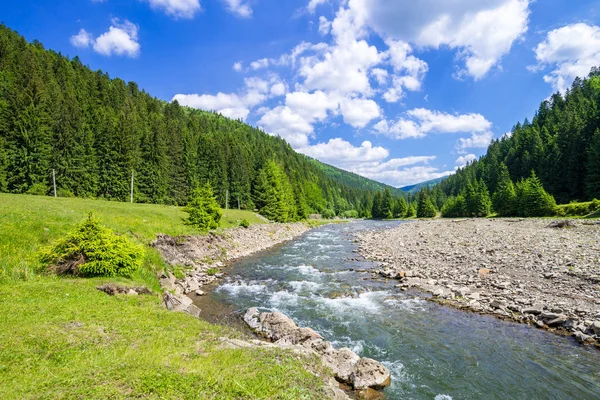 Spring in Ukraine — Stock Photo, Image