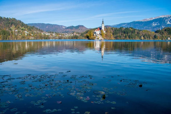 Island with a church in Bled — Stock Photo, Image