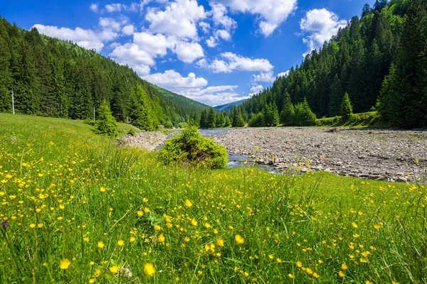 Spring in Ukraine in the mountains — Stock Photo, Image
