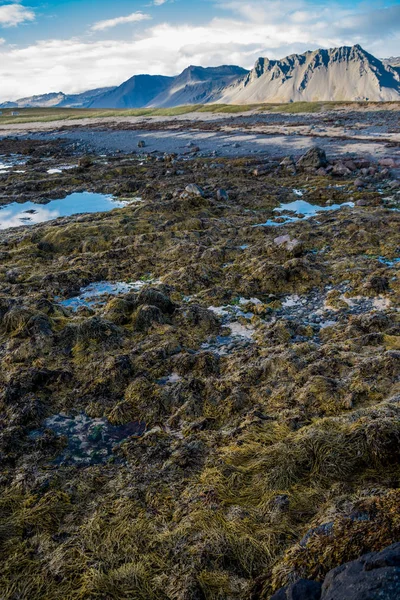 Renkli İzlanda manzara — Stok fotoğraf