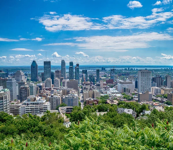 View of Montreal city in Canada — Stock Photo, Image