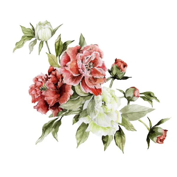 Peonie rosse e bianche. Illustrazione acquerello disegnato a mano — Foto Stock