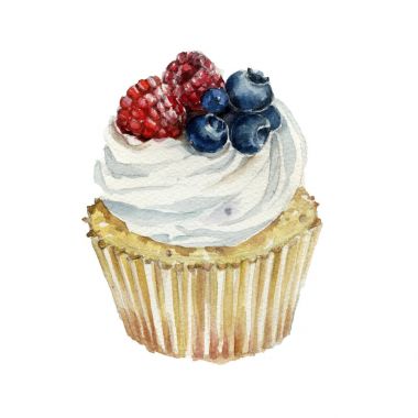 Cupcake yaban mersini ve ahududu. El suluboya resim çekilmiş