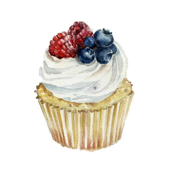 Cupcake yaban mersini ve ahududu. El suluboya resim çekilmiş