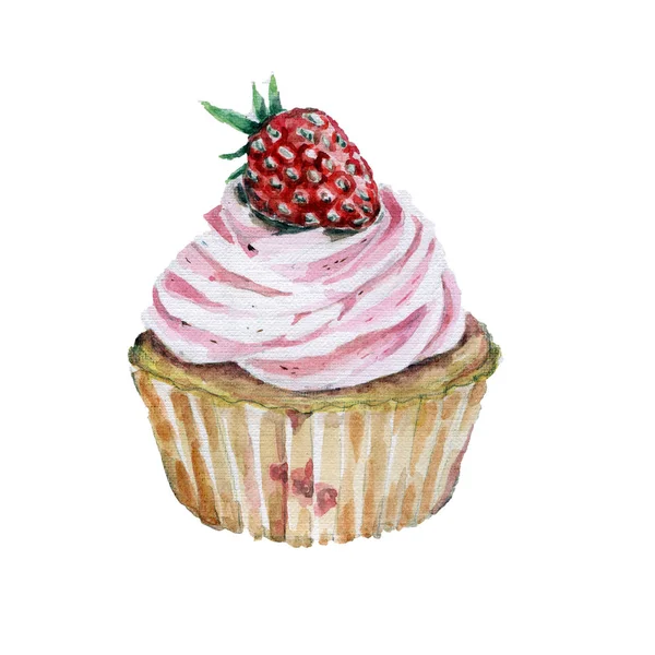 Kek çilek ile. El suluboya resim çekilmiş