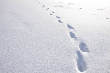 Karda ayak izleri