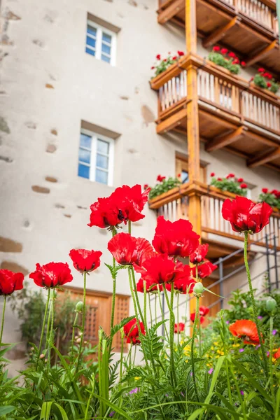 Papaveri Davanti Alla Facciata Storica Voels Schlern Alto Adige Italia — Foto Stock