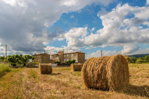 Sklizené Kukuřičné Pole Vesnici Villars Provence Francie — Stock fotografie