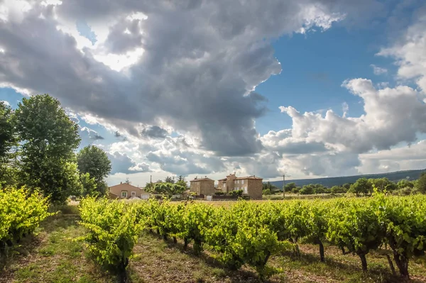 Harvested Cornfield Village Villars Provence France — Stock Photo, Image