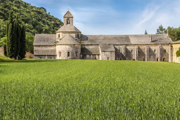 Luberon Provence Fransa Daki Senanque Manastırı — Stok fotoğraf