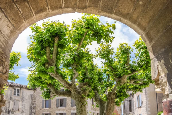 Byn Torg Med Plana Träd Gordes Provence Frankrike — Stockfoto