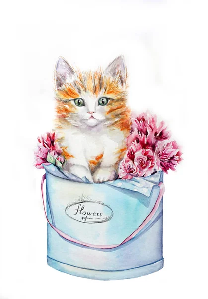 çiçekli şapka kutusunda yavru kedi