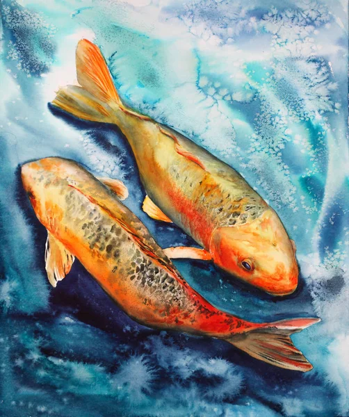 two gold fishes in water