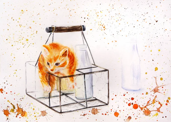 bir şişe süt ile komik kırmızı kedi yavrusu