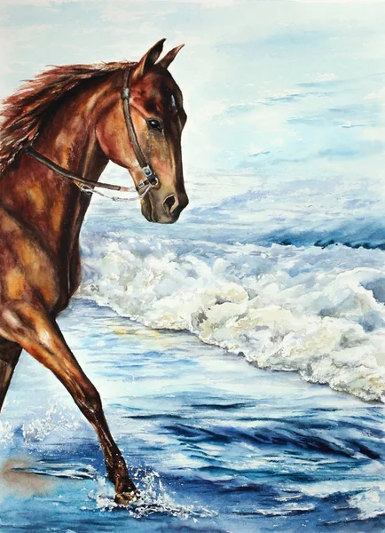 plaj deniz su illüstrasyon ata