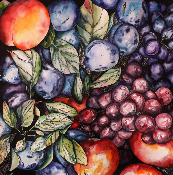 Aquarelle graphique fruits peinture Photo De Stock