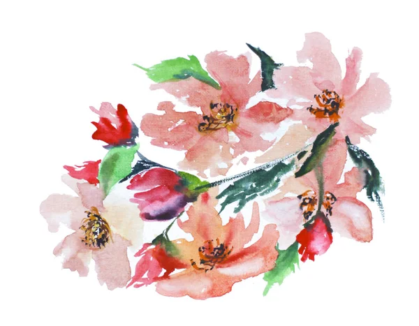 Bellissimi fiori ad acquerello — Foto Stock