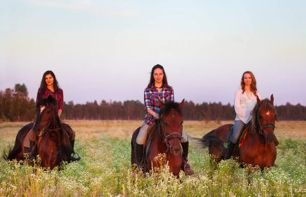 female equestrians in field