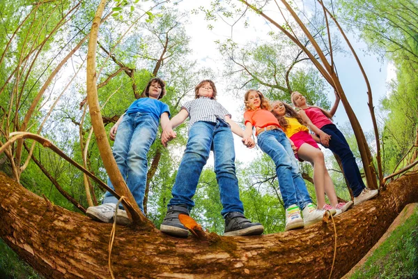孩子们在一起站在树干上 — 图库照片