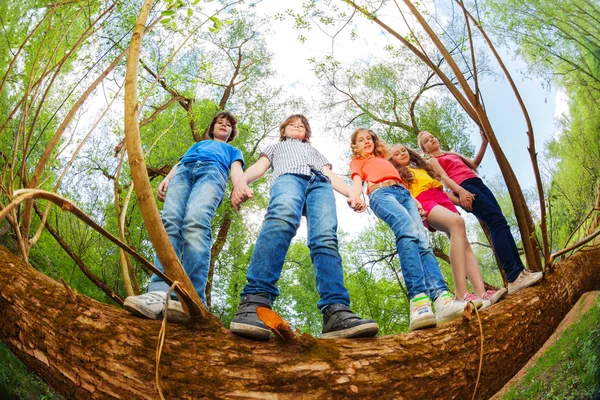 Niños de pie juntos en el tronco — Foto de Stock