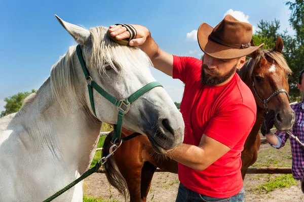 Hombre caballo de aseo —  Fotos de Stock