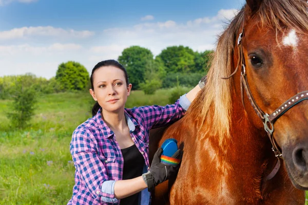 Žena kartáčovací krásný kůň — Stock fotografie