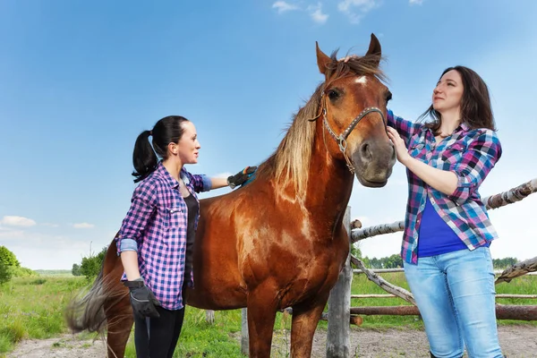 Женщины чистят лошадь на ферме — стоковое фото