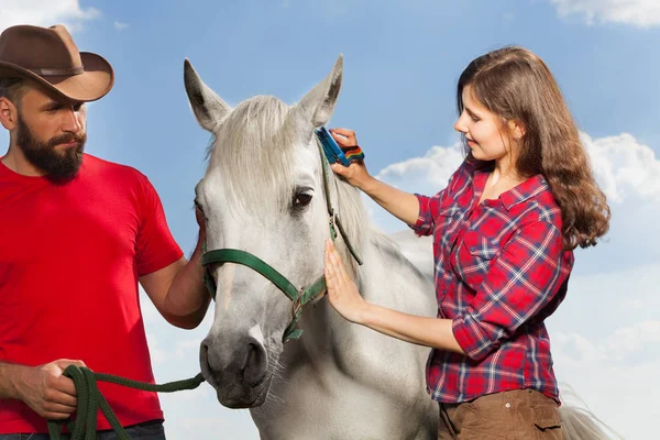 Pareja cepillando caballo blanco —  Fotos de Stock