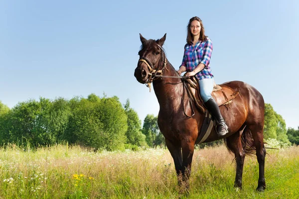 Koně jezdecké jezdecké pozice — Stock fotografie