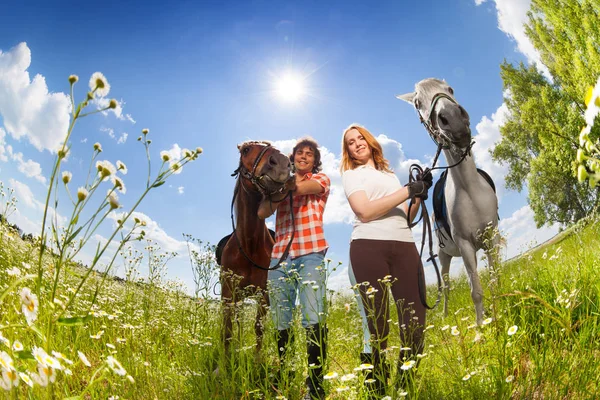 Pár s čistokrevných koní — Stock fotografie