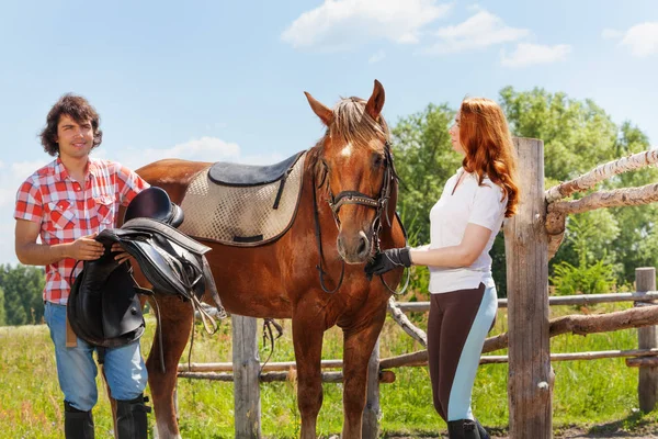 Häst ryttare sadling bay häst — Stockfoto