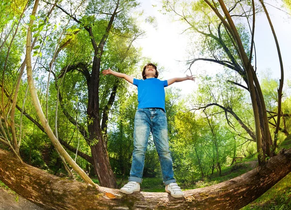 Мальчик стоит на упавшем дереве — стоковое фото