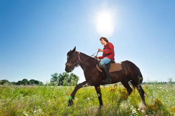 Mladý muž, kůň koních — Stock fotografie