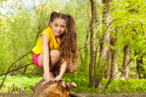 Дівчина позує на колоді в лісі — стокове фото