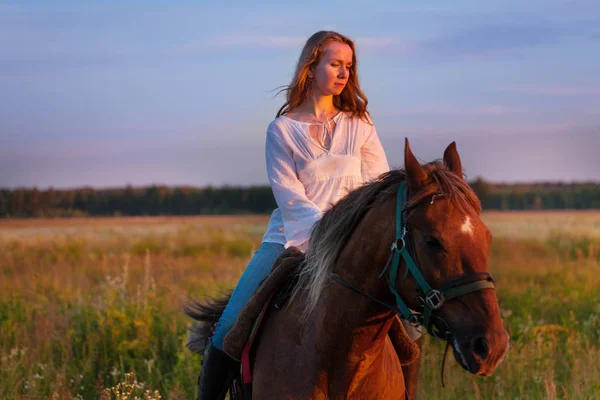 Jinete a caballo en el campo al atardecer —  Fotos de Stock