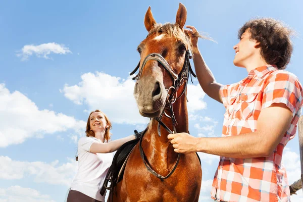 Couple with purebred bay horse — Stock Photo, Image