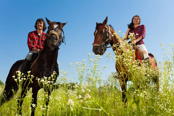 Pareja montando caballos de pura raza —  Fotos de Stock