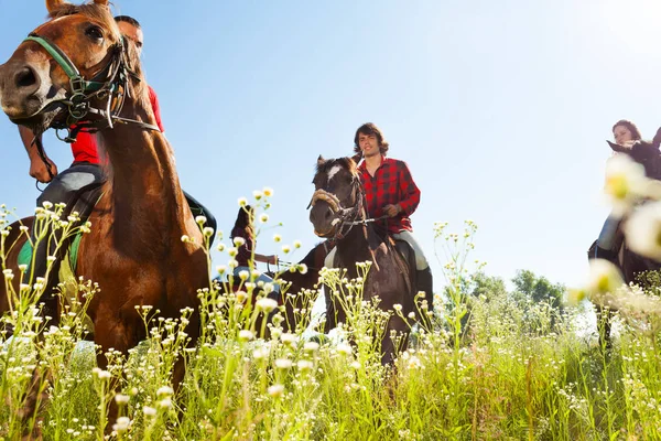 Pessoas montando cavalos baía — Fotografia de Stock