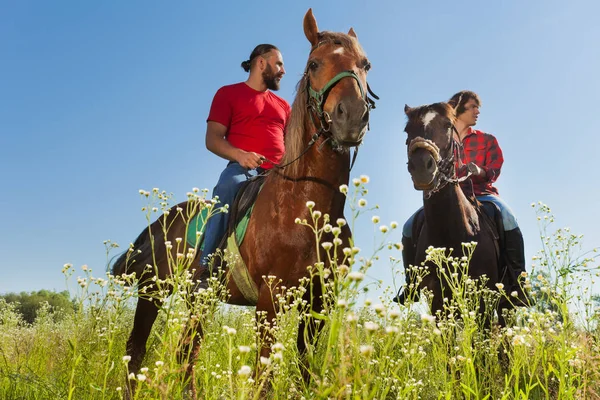 Dos equestrians masculinos en caballos —  Fotos de Stock