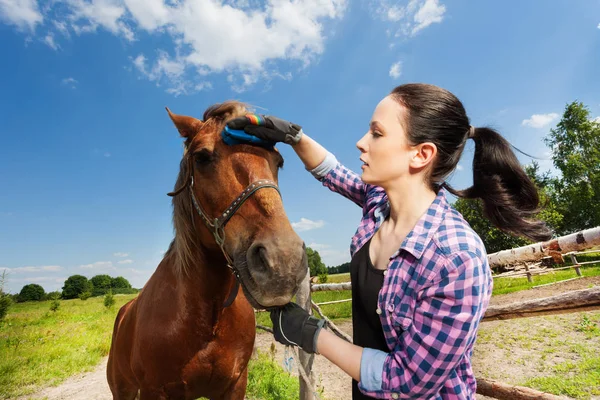 Kvinna grooming häst — Stockfoto