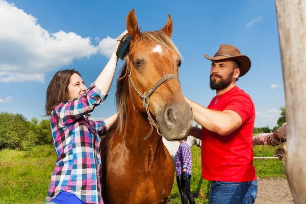 Par borsta manen av sin häst — Stockfoto