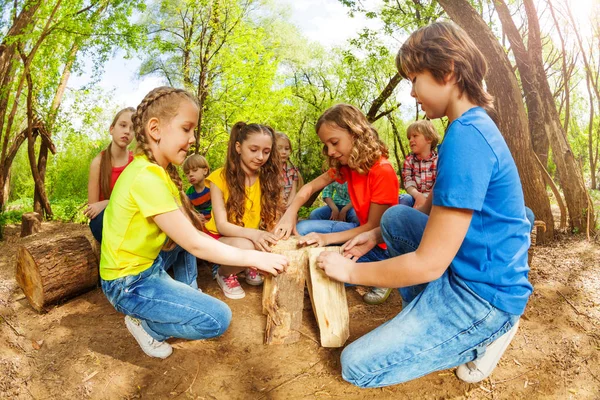Kinder spielen mit Baumstämmen — Stockfoto