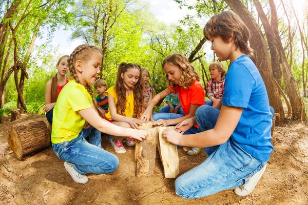 Bambini che giocano con i tronchi — Foto Stock