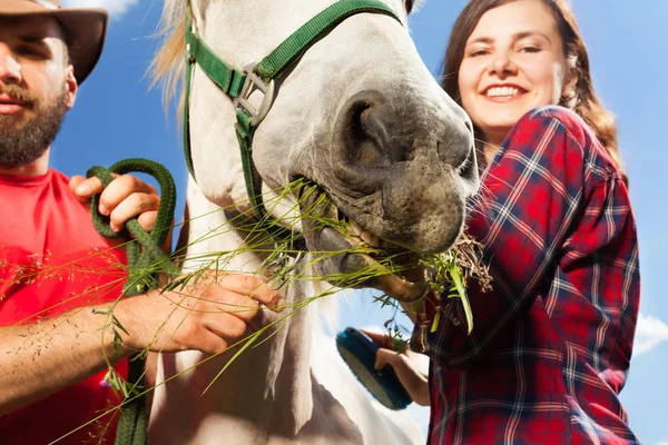 Casal alimentando seu cavalo branco — Fotografia de Stock
