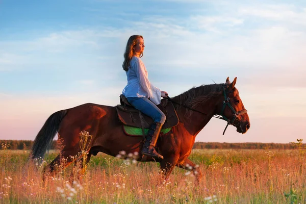 Cavalo equestre feminino — Fotografia de Stock