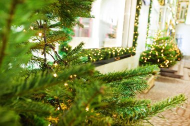 Çelenk ve Noel ağaçları